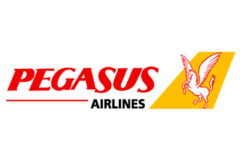 pegasus-airlines-3 